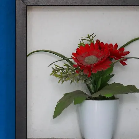 게스트하우스 Tenerife Experience