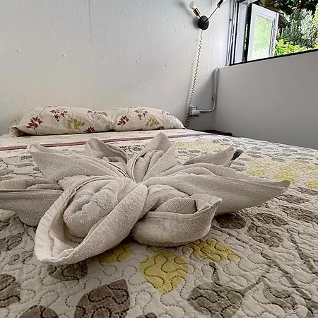 Tenerife Experience ゲストハウス 2*