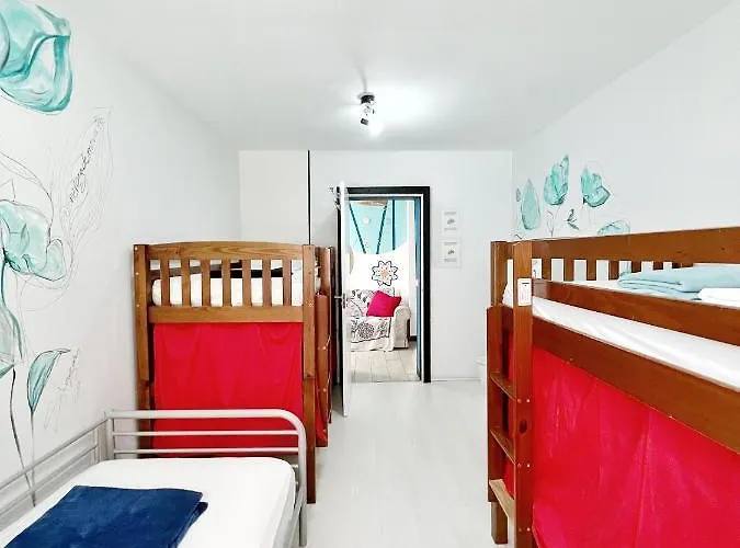 Tenerife Experience サンタクルスデテネリフェ