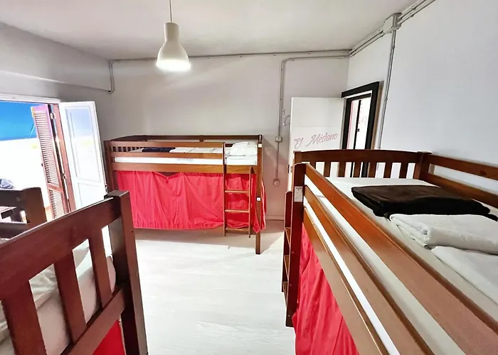 Tenerife Experience サンタクルスデテネリフェ