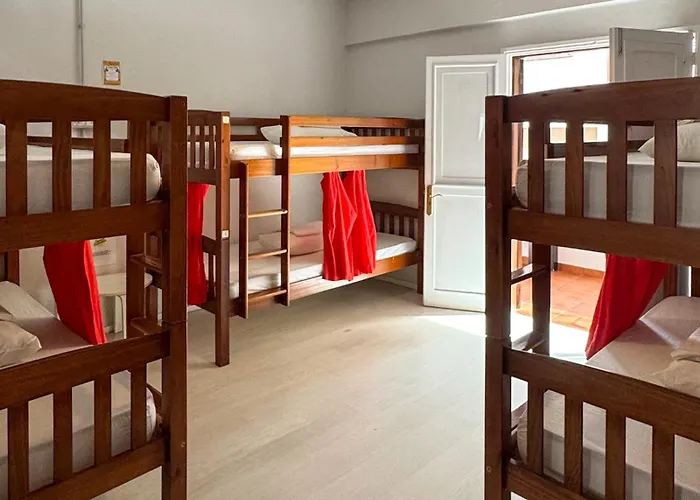 Tenerife Experience ゲストハウス 2*