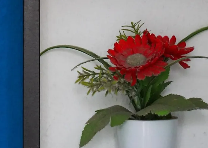 ゲストハウス Tenerife Experience