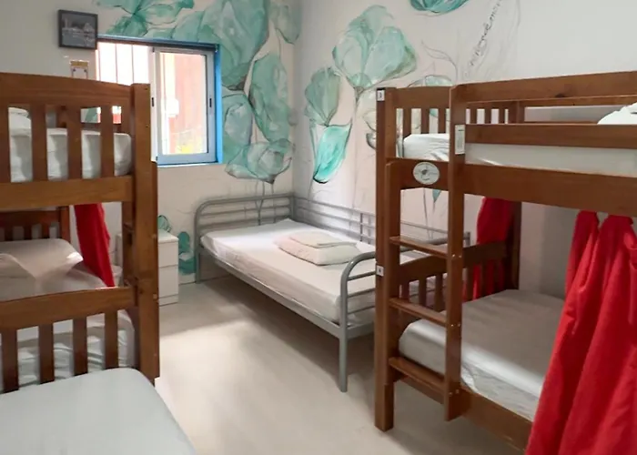 Tenerife Experience ゲストハウス 2*