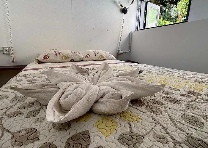 Tenerife Experience ゲストハウス 2*